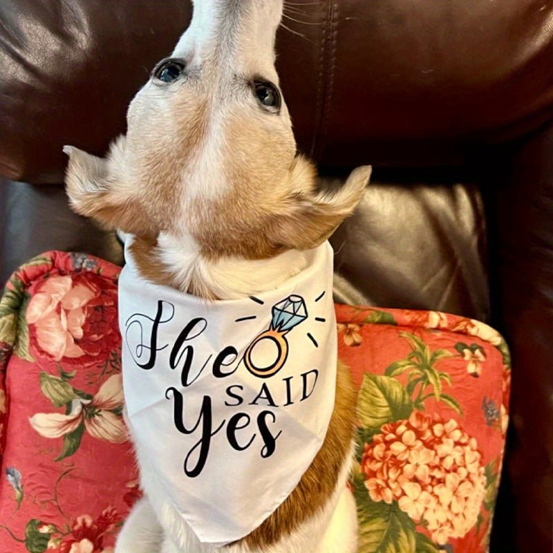 2pcs Bandanas Para Perros De Boda, "Mis Humanos Se Van A Casar" "Ella Dijo Que Sí" Pañuelos Para Perros Para Fotos De Compromiso De Boda, Accesorios De Pañuelos Para Mascotas Para Amantes De Los Perros, Regalo De Despedida De Soltera - SACASUSA