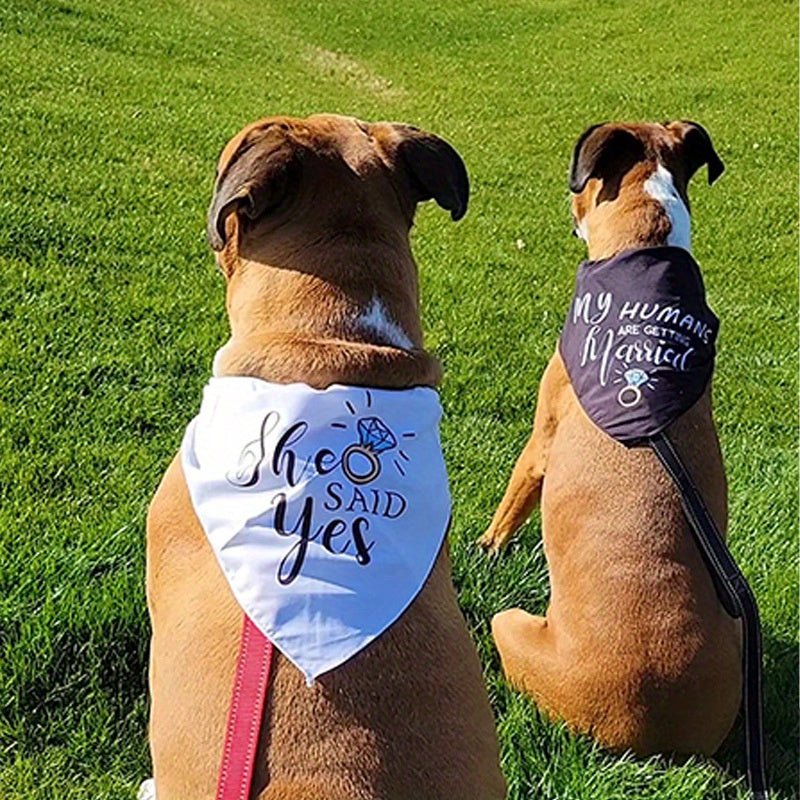 2pcs Bandanas Para Perros De Boda, "Mis Humanos Se Van A Casar" "Ella Dijo Que Sí" Pañuelos Para Perros Para Fotos De Compromiso De Boda, Accesorios De Pañuelos Para Mascotas Para Amantes De Los Perros, Regalo De Despedida De Soltera - SACASUSA