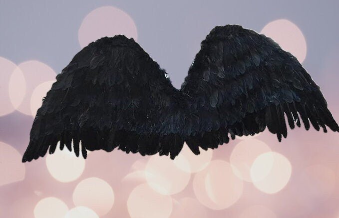 Alas de ángel de hada grandes de plumas negras de 47x17 pulgadas con halo gratis para alas de disfraz de Halloween hombres mujeres adultos L XXL - SACASUSA