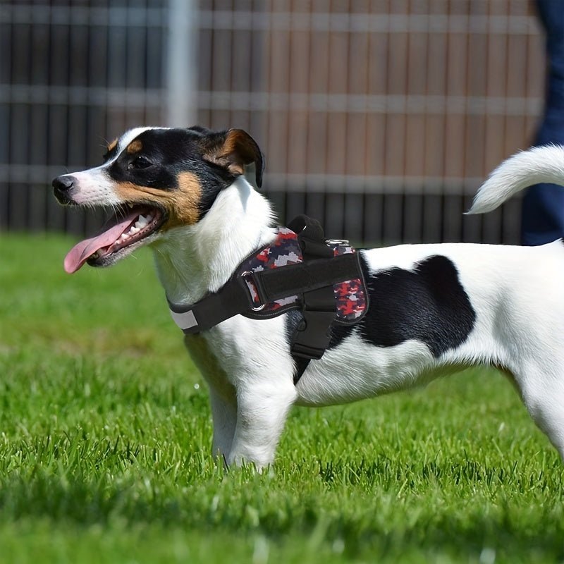 Arnés Para Perros, Chaleco Reflectante Para Perros Sin Tirones, Arnés Ajustable Transpirable Para Mascotas Con Asa Para Exteriores - SACASUSA