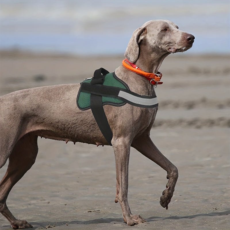 Arnés Para Perros, Chaleco Reflectante Para Perros Sin Tirones, Arnés Ajustable Transpirable Para Mascotas Con Asa Para Exteriores - SACASUSA