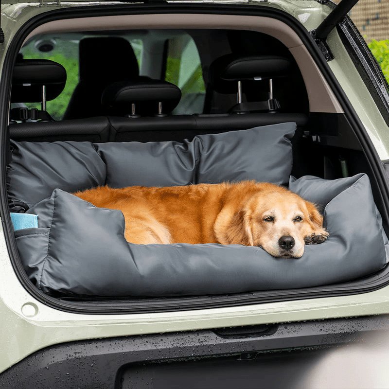 Cama Para Perro Impermeable de Algodón y Transportín Plegable: ¡Viajes Cómodos y Elegantes con Una Solución Todo en Uno! - SACASUSA