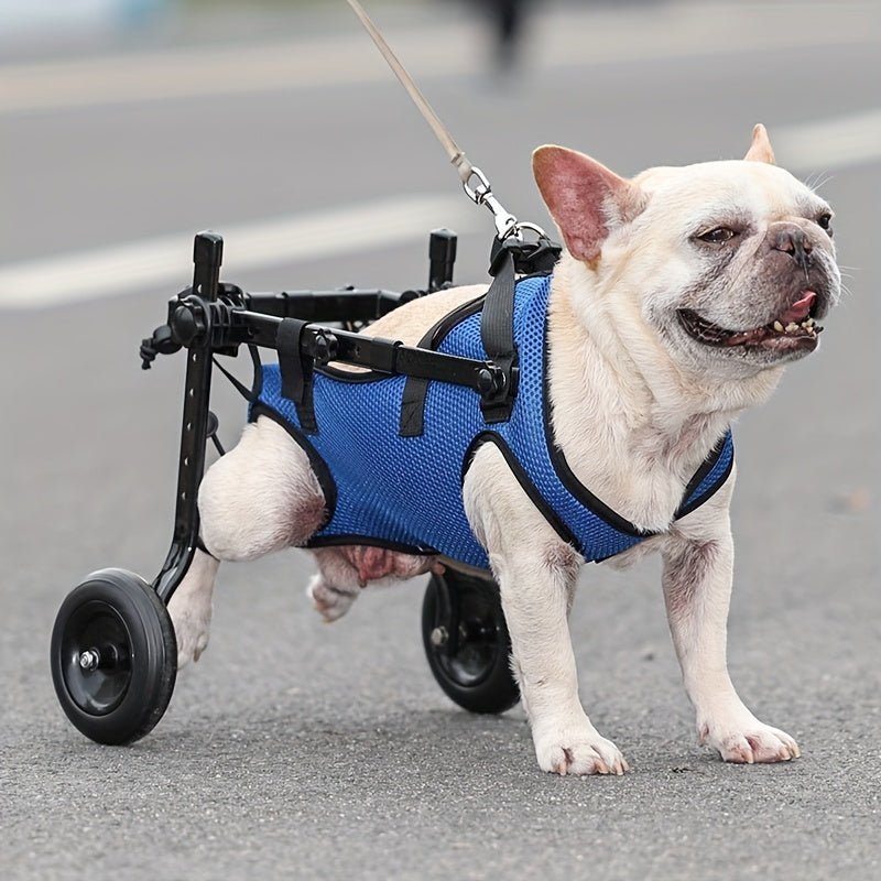 Caminar con Facilidad y Libertad: Silla de Ruedas Ajustable Grande para Perros, Sin Batería, para las Patas Traseras — Una Ayuda de Movilidad Esencial para Mascotas Discapacitadas, Mejorando su Vida - SACASUSA