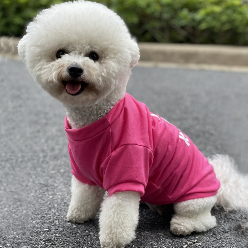 Camiseta de Mascota Durable y Bonita de San Valentín para Perros Pequeños y Medianos - 100% Poliéster, Lavable a Mano, Garantizando Comodidad y Estilo.” - SACASUSA