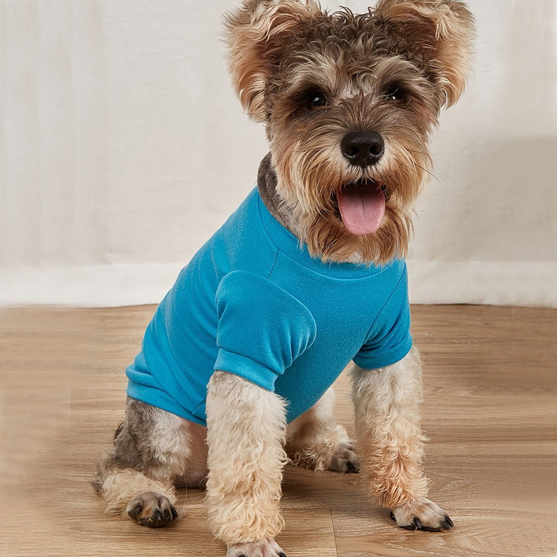 Camiseta de Mascota Durable y Bonita de San Valentín para Perros Pequeños y Medianos - 100% Poliéster, Lavable a Mano, Garantizando Comodidad y Estilo.” - SACASUSA