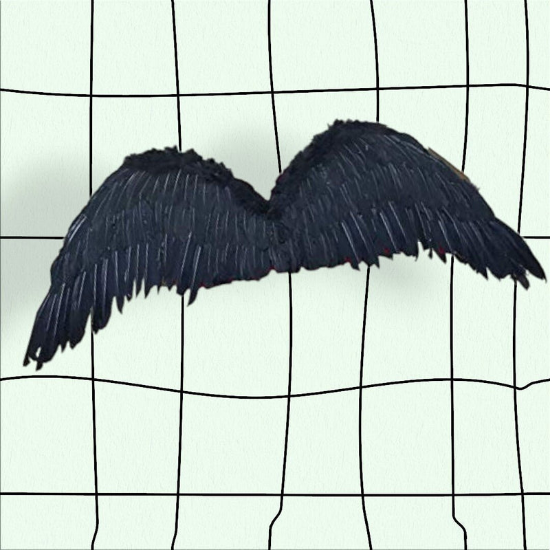 Grandes alas de ángel de hadas grandes de plumas negras de 47 x 17 pulgadas con halo gratis para alas de disfraces de Halloween Hombres Mujeres Adultos L XXL - SACASUSA